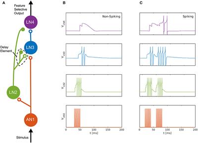 Synaptic Delays for Insect-Inspired Temporal Feature Detection in Dynamic Neuromorphic Processors